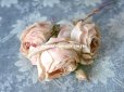 画像6: 未使用 ラベル付き アンティーク 薔薇の布花 淡いピンク カップ咲き コサージュ