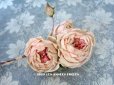 画像1: 未使用 ラベル付き アンティーク 薔薇の布花 淡いピンク カップ咲き コサージュ (1)
