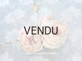 未使用 ラベル付き アンティーク 薔薇の布花 淡いピンク カップ咲き コサージュ