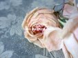 画像9: 未使用 ラベル付き アンティーク 薔薇の布花 淡いピンク カップ咲き コサージュ