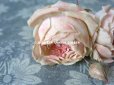 画像8: 未使用 ラベル付き アンティーク 薔薇の布花 淡いピンク カップ咲き コサージュ
