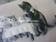 画像3: 1902年 アンティークポストカード 猫の親子のティータイム エンボス加工入り (3)