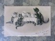 画像1: 1902年 アンティークポストカード 猫の親子のティータイム エンボス加工入り (1)