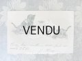 1901年 アンティークポストカード 猫の親子の本の時間 エンボス加工入り