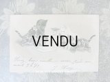 1901年 アンティークポストカード 猫の親子の本の時間 エンボス加工入り