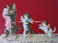 画像2: 1902年 アンティーク ポストカード 猫の親子  エンボス加工入り (2)
