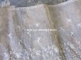 画像5: 【クリスマスセール2020対象外】 1900年代 アンティーク  幅広 花刺繍入り シルク＆コットン生地　ドレスの裾  16.2cm幅 ライトベージュ