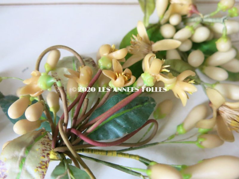 画像7: 未使用 アンティーク レースペーパー付ボックス入り&台紙付 ワックスフラワーのセット ウェディング 結婚式