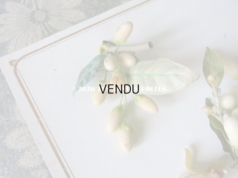 画像11: 未使用 アンティーク レースペーパー付ボックス入り＆台紙付 ワックスフラワーのセット ウェディング 結婚式 