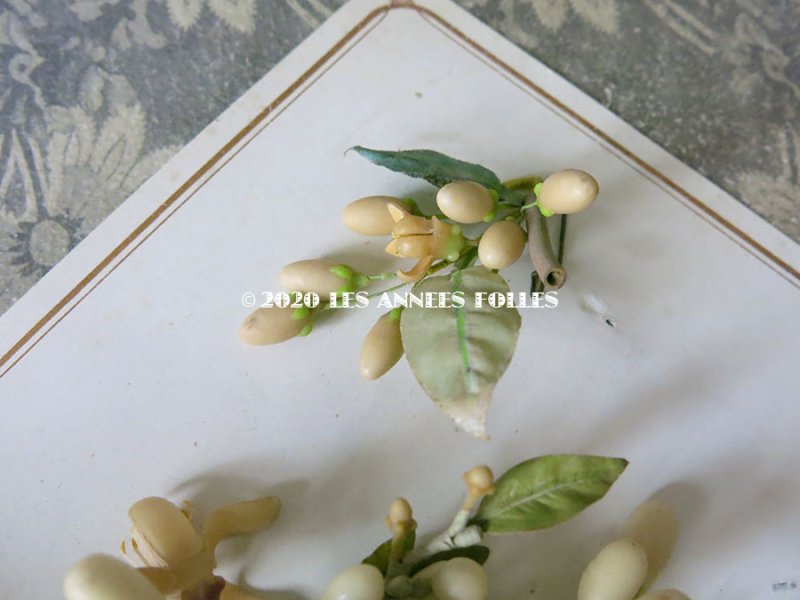 画像10: 未使用 アンティーク レースペーパー付ボックス入り&台紙付 ワックスフラワーのセット ウェディング 結婚式