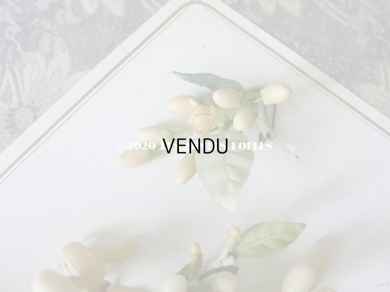 画像10: 未使用 アンティーク レースペーパー付ボックス入り＆台紙付 ワックスフラワーのセット ウェディング 結婚式 