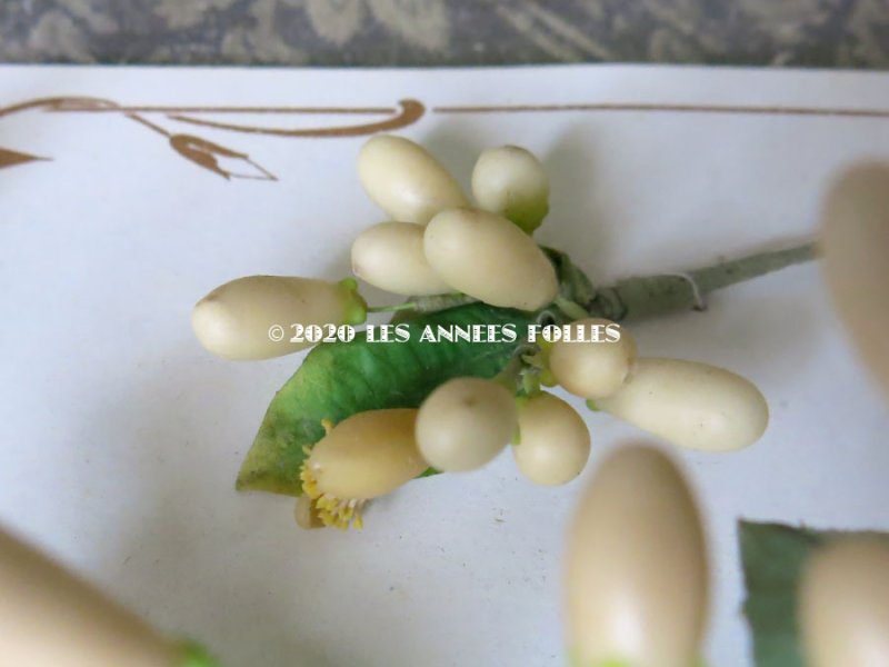 画像15: 未使用 アンティーク レースペーパー付ボックス入り&台紙付 ワックスフラワーのセット ウェディング 結婚式