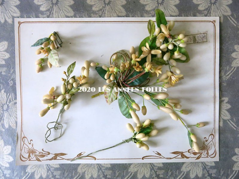 画像3: 未使用 アンティーク レースペーパー付ボックス入り&台紙付 ワックスフラワーのセット ウェディング 結婚式