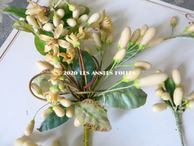 画像9: 未使用 アンティーク レースペーパー付ボックス入り&台紙付 ワックスフラワーのセット ウェディング 結婚式