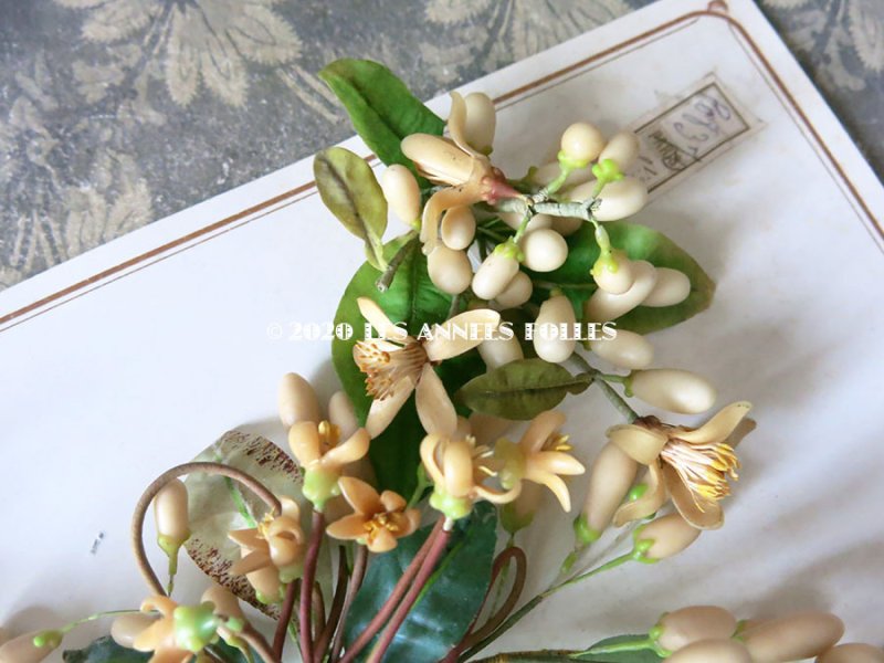 画像6: 未使用 アンティーク レースペーパー付ボックス入り&台紙付 ワックスフラワーのセット ウェディング 結婚式