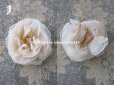 画像12: 19世紀末 アンティーク 薔薇の布花 花嫁の花冠 オフホワイト