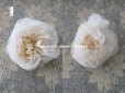 画像11: 19世紀末 アンティーク 薔薇の布花 花嫁の花冠 オフホワイト