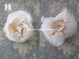 画像10: 19世紀末 アンティーク 薔薇の布花 花嫁の花冠 オフホワイト