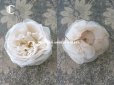 画像5: 19世紀末 アンティーク 薔薇の布花 花嫁の花冠 オフホワイト