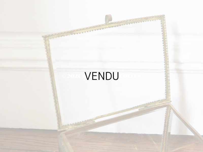 画像5: 19世紀 アンティーク 大きなコフレ グローブ・ド・マリエ 花のピン＆赤いベルベットのクッション