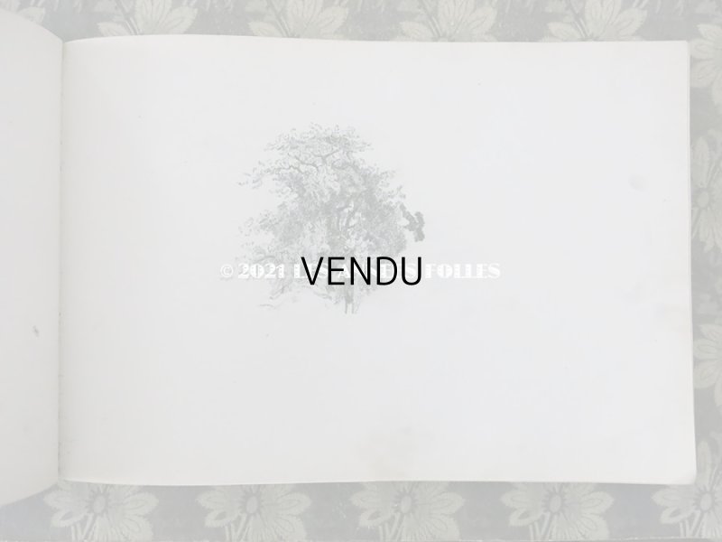 画像5: 19世紀 アンティーク 薔薇模様の黒いアルバム ALBUM
