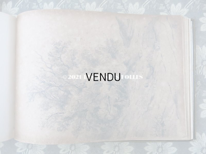 画像6: 19世紀 アンティーク 薔薇模様の黒いアルバム ALBUM