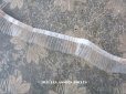 画像1: アンティーク シルク製 チュールレースのプリーツリボン オフホワイト  2.5cm幅  56cm (1)