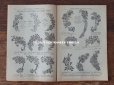 画像5: アンティーク プランタン百貨店のカタログ　布花＆フェザー＆帽子 CATALOGUE SPECIAL DE FLEURS, PLUMES & CHAPEAUX - GRANDS MAGASOINS DU PRINTEMPS - 