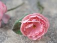 画像3: アンティーク 薔薇の布花 2輪のセット 淡いピンク (3)