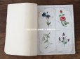画像3: 1900年代 アンティーク 刺繍の本 LE GUIDE DE LA BRODEUSE - EDITION ARTISTIQUE DE LA BRODERIE LYONNAISE -