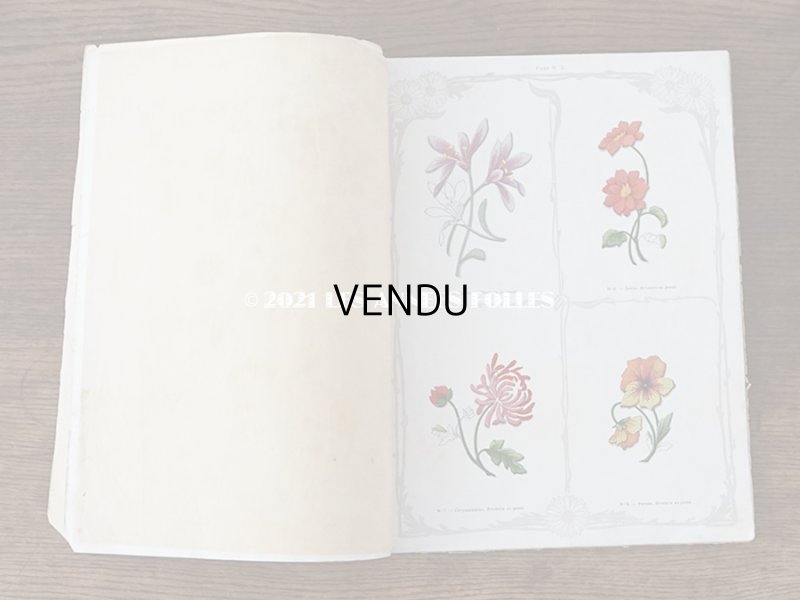 画像4: 1900年代 アンティーク 刺繍の本 LE GUIDE DE LA BRODEUSE - EDITION ARTISTIQUE DE LA BRODERIE LYONNAISE -