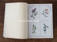 画像7: 1900年代 アンティーク 刺繍の本 LE GUIDE DE LA BRODEUSE - EDITION ARTISTIQUE DE LA BRODERIE LYONNAISE -