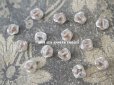 画像6: アンティーク 硝子製 花型のビーズ 白 6〜8ピースのセット 約9mm 
