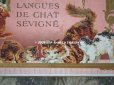 画像8: アンティーク ラングドシャのお菓子箱  『マルキーズ・ ドゥ・セヴィニエ』 LANGUES DE CHAT SEVIGNE - MARQUISE DE SEVIGNE PARIS -