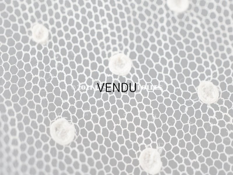 画像5: 18世紀 未使用 アンティーク ニードルレース アランソンレース 新品同様 150cm 7.7cm幅 『ポワン・ダランソン（アランソン）』 