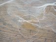 画像12: アンティーク  ウェディングヴェール  約210×194cm アプリカシオン・ブリュッセル (ニードルレース & ボビンレース)　