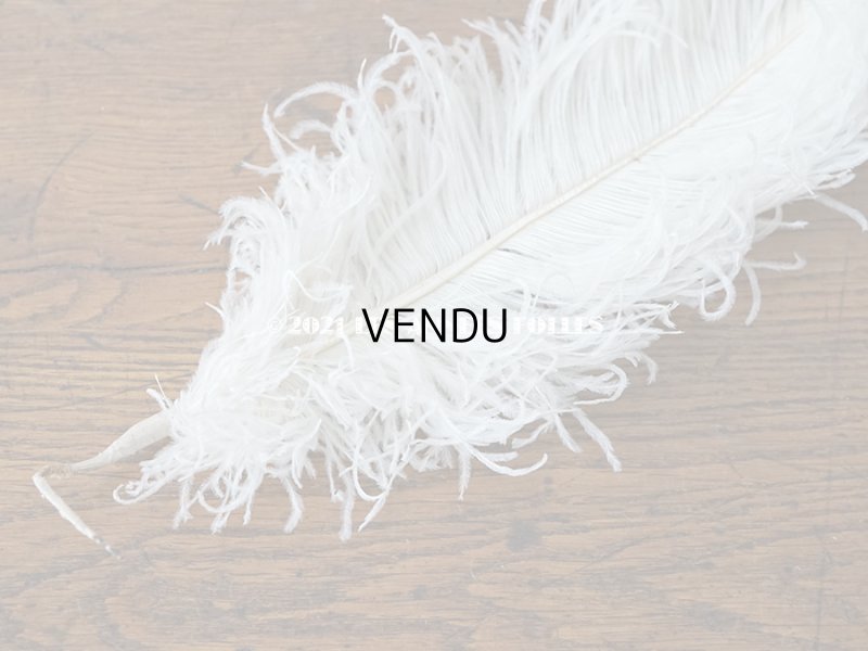 画像5: 【11周年セール対象外】 アンティーク フェザー オフホワイト 羽飾り 