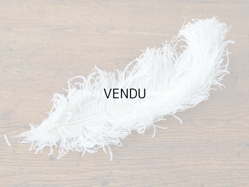 画像3: 【11周年セール対象外】 アンティーク フェザー オフホワイト 羽飾り 