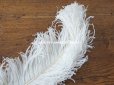 画像6: 【11周年セール対象外】 アンティーク フェザー オフホワイト 羽飾り 