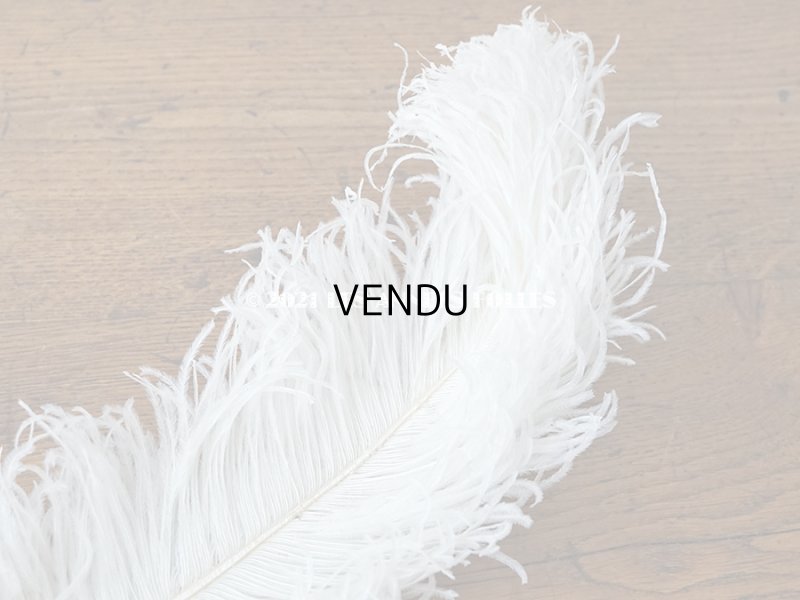 画像6: 【11周年セール対象外】 アンティーク フェザー オフホワイト 羽飾り 