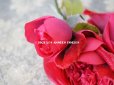 画像7: 新品同様 アンティーク ピンクの薔薇のブーケ 布花 コサージュ クオーター・ロゼット咲き