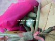 画像11: 新品同様 アンティーク ピンクの薔薇のブーケ 布花 コサージュ クオーター・ロゼット咲き