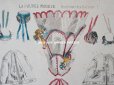 画像3: 19世紀末 アンティーク 版画 着せ替え人形 ドール新聞の付録 LA POUPEE MODELE (3)