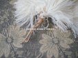画像7: アンティーク フェザー オフホワイト 羽飾り ポンポン