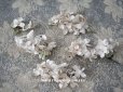 画像1: アンティーク  ホワイトライラックの布花のセット (1)