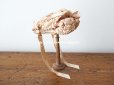 画像2: 19世紀末 アンティーク 小さなドールハット ピンクベージュのシルク製 ドール用 帽子 (2)