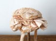 画像5: 19世紀末 アンティーク 小さなドールハット ピンクベージュのシルク製 ドール用 帽子