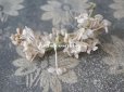 画像6: アンティーク  ホワイトライラックの布花のセット