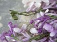 画像10: アンティーク ライラックの布花  