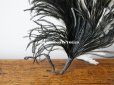 画像4: アンティーク フェザー ブラック＆ホワイト  羽飾り  (4)